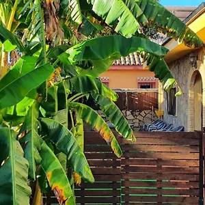 Girasoles Сasa de vacaciones
